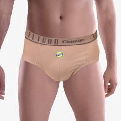 Brief